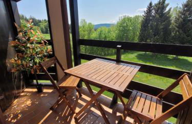 LE CHALET des 3 Sapins, Superbe Duplex Montagnard avec balcon, au calme - Les Rousses, Draps inclus & Parking gratuit - Foto 12
