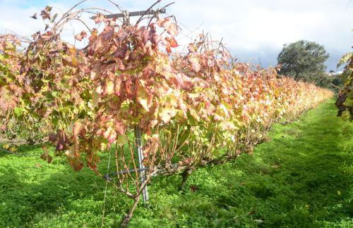 Casa Rural El Adelantado - Foto 35