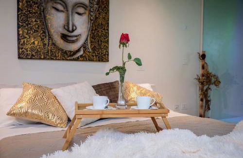 LUXURY VILLA RUBIN with Jacuzzi POOL GYM & SPA near Venice and Padua - Photo 19