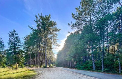 Cozy Home In Bibbiena With Kitchen - Foto 23