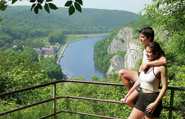 Nicely Furnished Bungalow with Fireplace near Maas - Foto 10