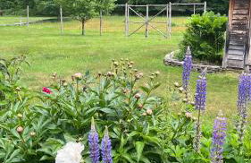 The Tannery House - Foto 38