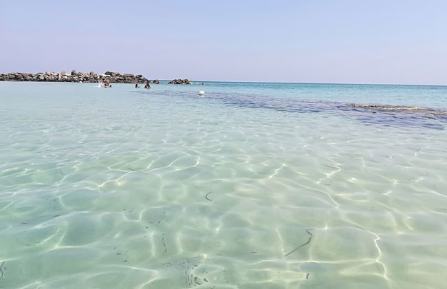 Trullo Alessandro e Villa Raffaela - Foto 56