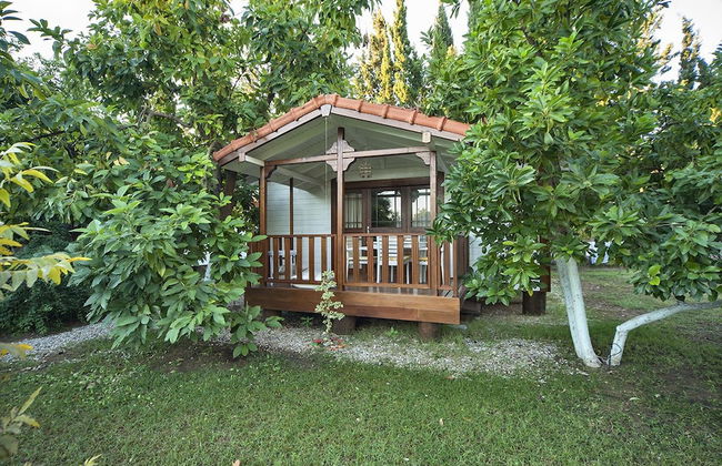 Akdeniz Bahcesi - Foto 23