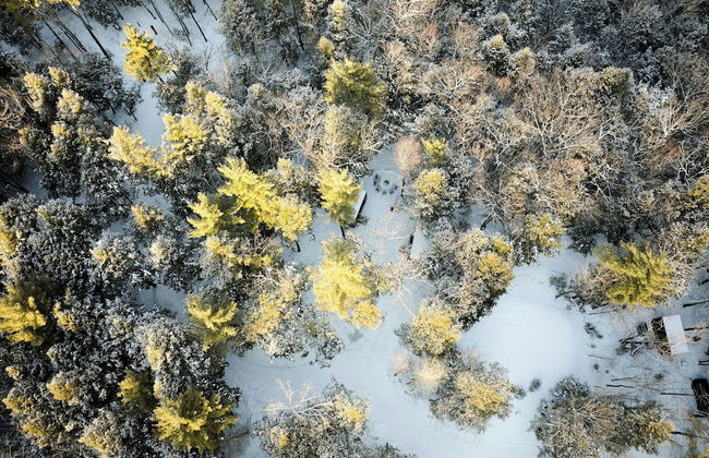 Postcard Cabins Blake Brook, Outdoor Collection by Marriott Bonvoy - Foto 63
