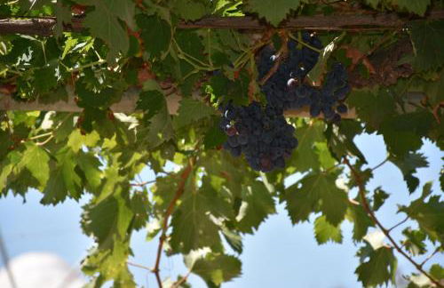 Villa Gerani - Foto 7