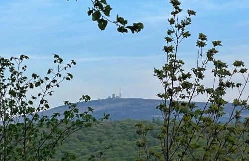 Apartment Beletage Bad Harzburg - Foto 42