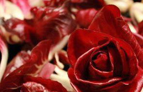 Agriturismo Al Gelso - Foto 8