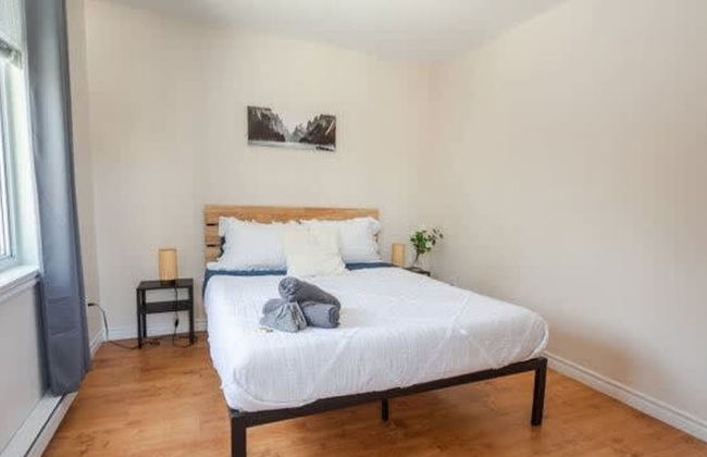 Sommet- Pet Friendly- Spa- SKI IN SKI OUT St-c me - Foto 9