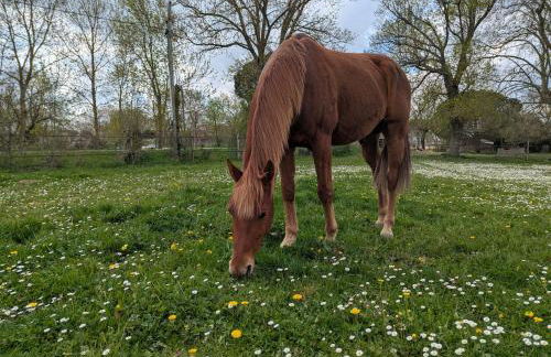 Dépendance avec balnéothérapie - Foto 18