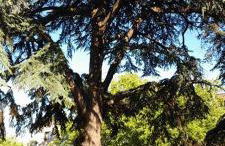 Élégant apt avec vue Tour Eiffel & parking privé - Foto 39