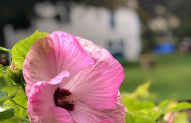 The Craftsman Farmhouse with Modern Flair - Photo 33