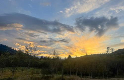 Nature Art Retreat on Breckenridge Creek with Pond! - Foto 42