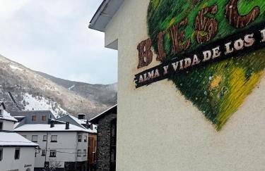 Origen Pelaire excelente limpieza y ubicacion - Photo 33