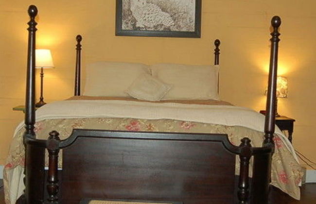 The Cabins at Healing Springs - Foto 10