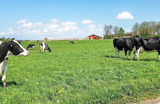 2 Person Holiday Home in Slagelse - Foto 12