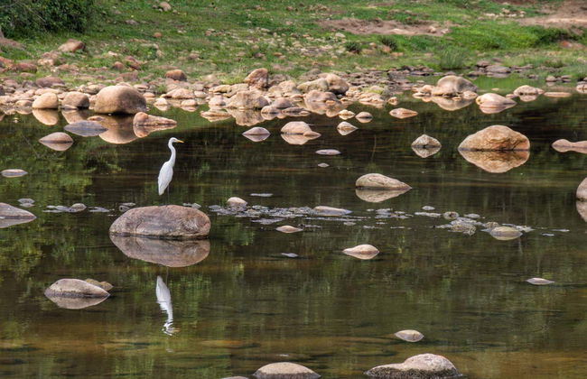 Tour privato delle cascate di Munnar in 4x4 - Foto 7