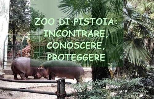 Il Telaio - Pian di Nenne - Foto 11