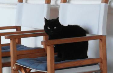 Fattoria Giunasco - Foto 6