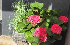 Ferienwohnung Molly - Foto 14