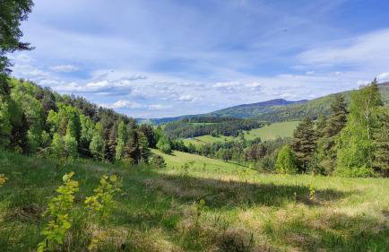 Jastrzębie Gniazdko - Foto 51