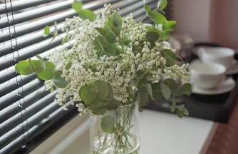 The Alma Taverns Boutique Suites - Room 1 - Hopewell - Foto 4