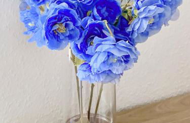 Apartment "Wiesenglück" - am Feisnecksee, mit Terrasse - Foto 14