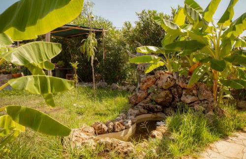 Harmony Corfu Apartments & Studios - Foto 71