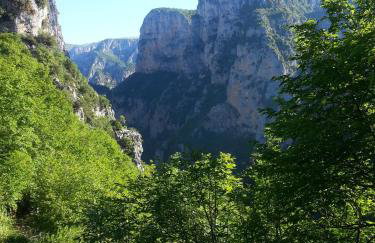 Estia Tsialiki - Foto 28