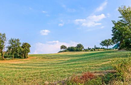 Agriturismo Montelovesco - Foto 154