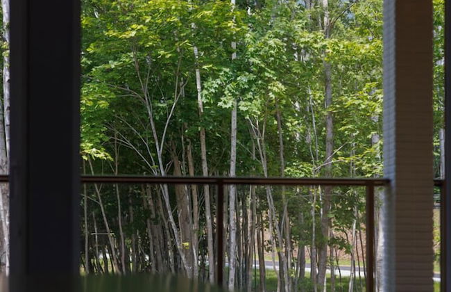 LYS GRACIEUX【Ezo Fuji hoothills】 - Photo 32