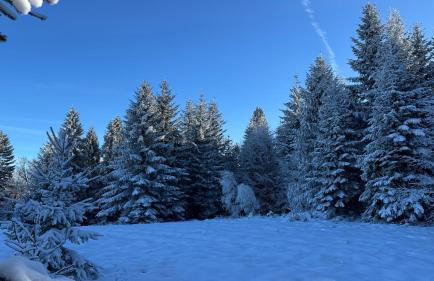 Dom w Starym Sadzie z basenem i sauną - Beskid Wyspowy - Foto 48