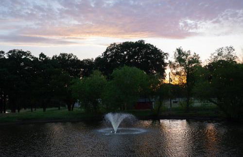 Dog-Friendly Texas Ranch with Patio, Horses On-Site - Foto 29