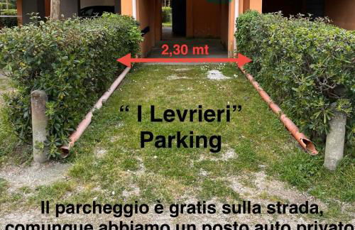 I levrieri Colombo - Foto 33