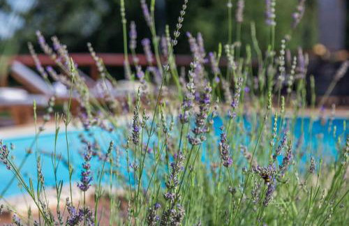 Villa Baldasi - Foto 48