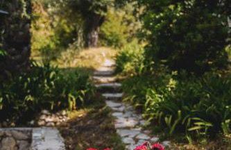 Dimoulitsa Villas Complex - Foto 15