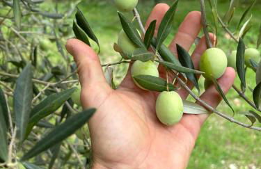 Casale La Quercia - Foto 48