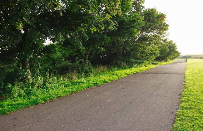 Blue Rose Cottage - Foto 23