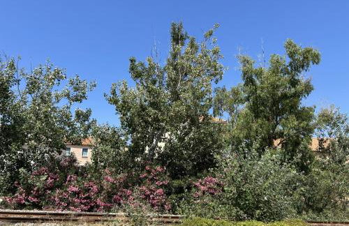 Residences Santa Vittoria - Foto 45