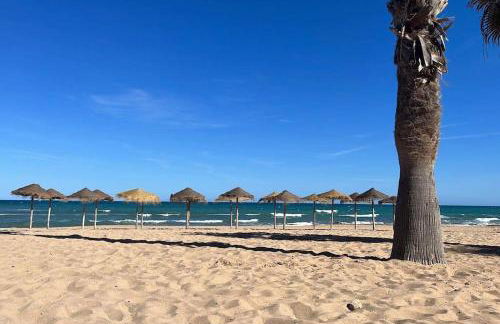 Sol de mar, La Mata (Hiszpania) - Foto 34