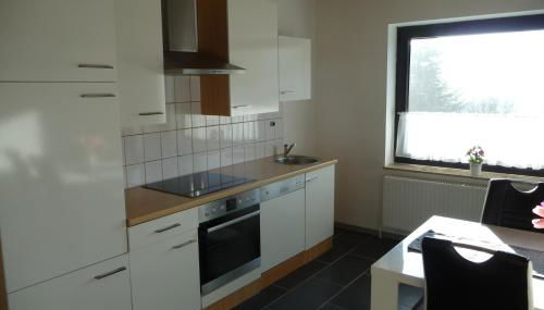 Appartement 2 Schlafzimmer, Terrasse, Hund, Kamin - Foto 4