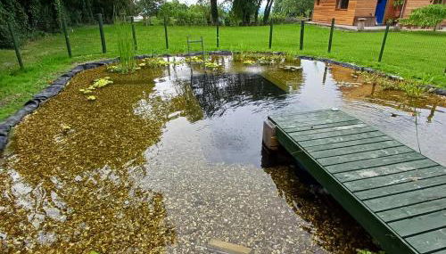 Hide on the Hill Cottage - Foto 2