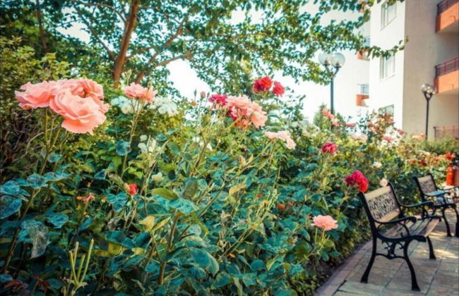 Seaside Studio Apartment in Ravda - Photo 21