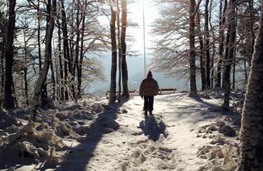 A l'orée des bois - Foto 33
