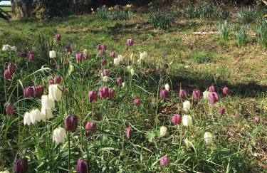 Penarvon House - Stunning Waterfront Escape with Games Room - Foto 48