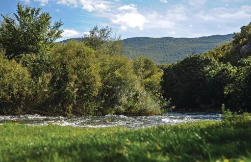 Apartment Ugljan With Outdoor Swimming Pool 317 - Foto 31