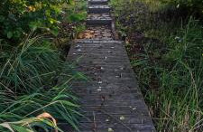 Domek letniskowy Nad Mrowinkiem - Foto 39