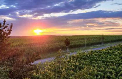 Ferienwohnung Haus Gänseplatz - Foto 22