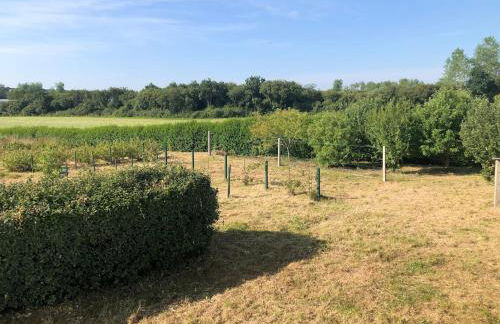 Family home - Foto 21