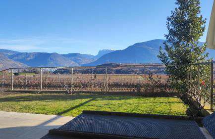 Oberberghof - Foto 49